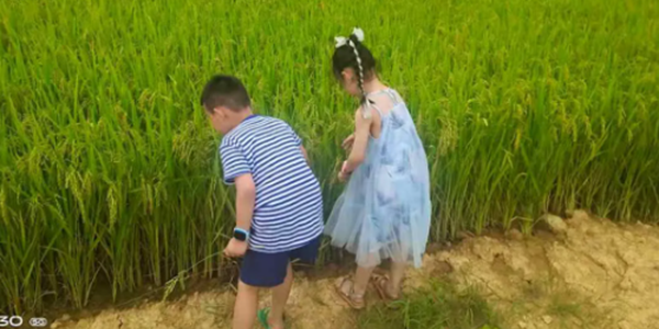 秋澄萬(wàn)景清 花好月更圓｜南昌現(xiàn)代外國(guó)語(yǔ)學(xué)校小學(xué)部中秋節(jié)的特殊“作業(yè)”